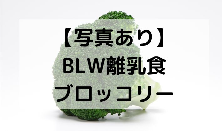 離乳食　BLW　補完食　手づかみ食べ　赤ちゃん　初期　5ヶ月　6ヶ月 　保存　ブロッコリー　レシピ　蒸す　茹でる　加熱　スティック