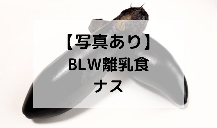 BLW　離乳食　補完食　ナス　なす　茄子　手づかみ食べ　レシピ　蒸し器　切り方　初期　中期　野菜