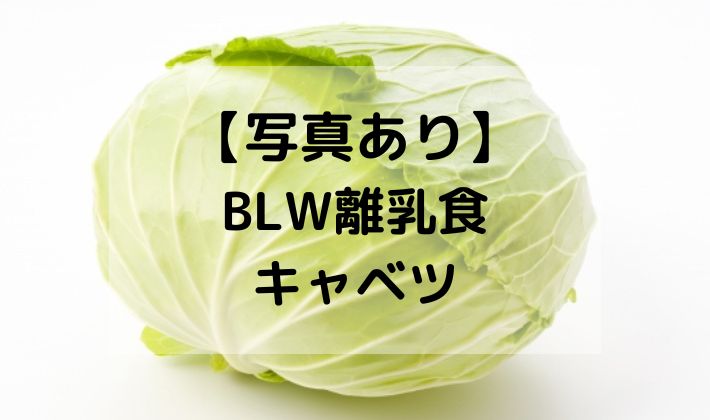 BLW　離乳食　補完食　キャベツ　手づかみ食べ　レシピ　蒸し器　切り方　初期　中期　野菜