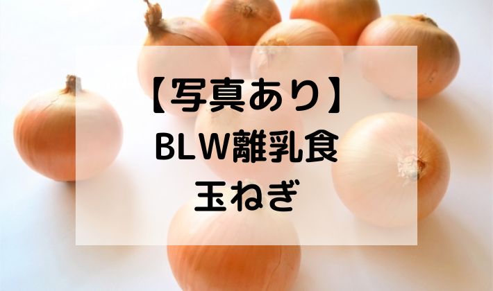 BLW　離乳食　補完食　玉ねぎ　手づかみ食べ　レシピ　蒸し器　切り方　初期　中期　野菜