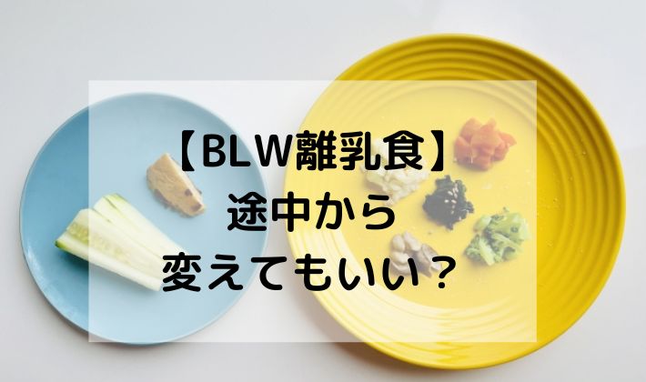 BLW　離乳食　途中から　手づかみ食べ　ドロドロ　飲み込む　自分で食べる　お粥